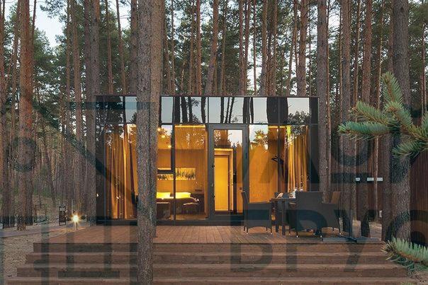 дом с панорамными окнами в лесу